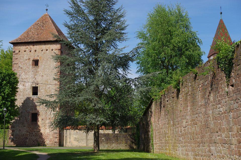 Chambre D'Hotes Du Cote Des Remparts Wissembourg Exterior photo